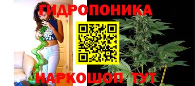 mix Сланцы