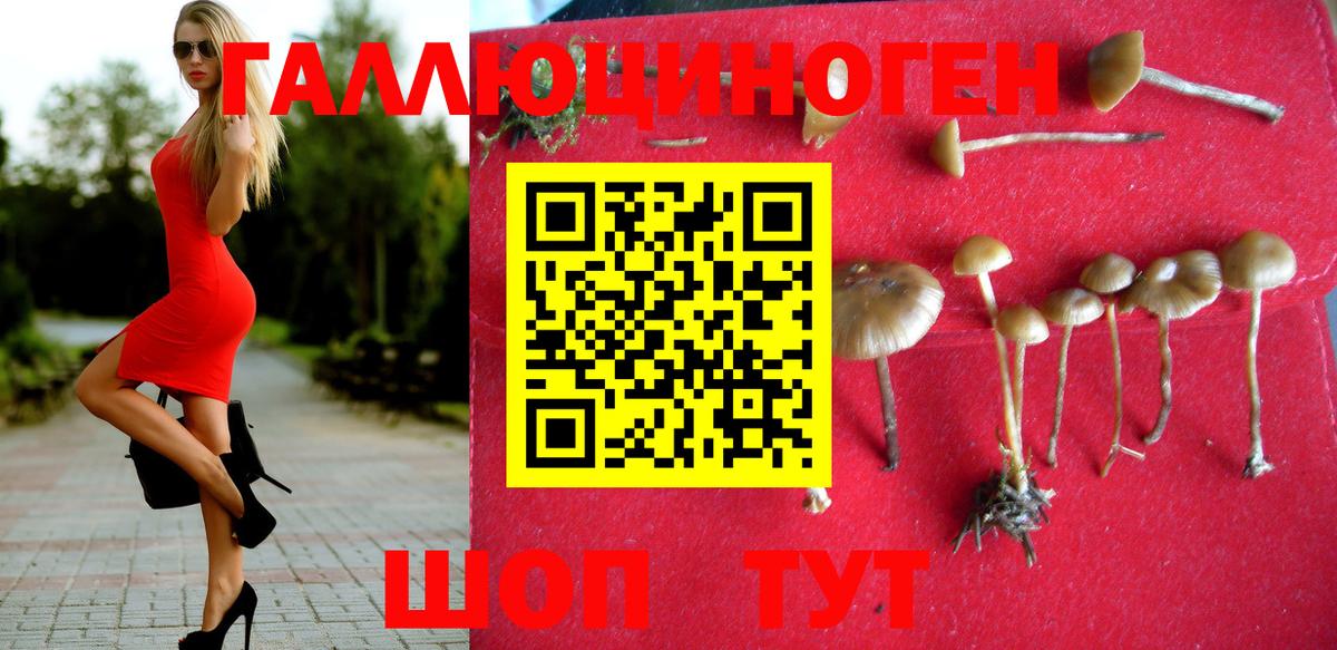 Псилоцибиновые грибы Magic Shrooms  Вход с VPN  Нальчик  Галлюциногенные грибы Psilocybine cubensis 
